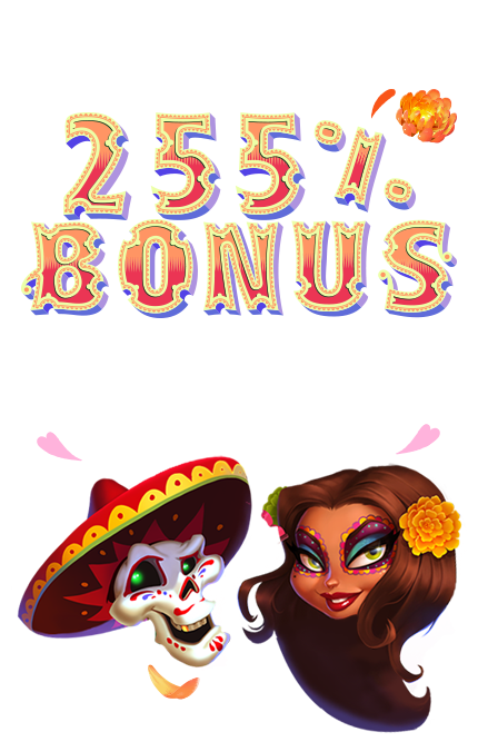 No Bonus No Bonus Casino